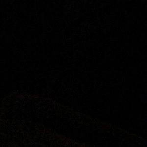 Meet your Posher, Candace